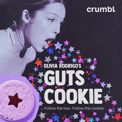 Olivia Rodrigo Crumbl Forever Cookie Replica Handmade Resin Art Sculpture