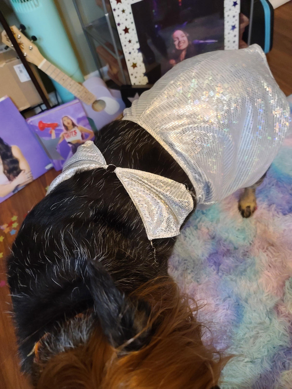 OLIVIA RODRIGO DOG costume Silver Sparkle Set guts Tour Replica Pop Star Halloween Pet Outfit Custom Size