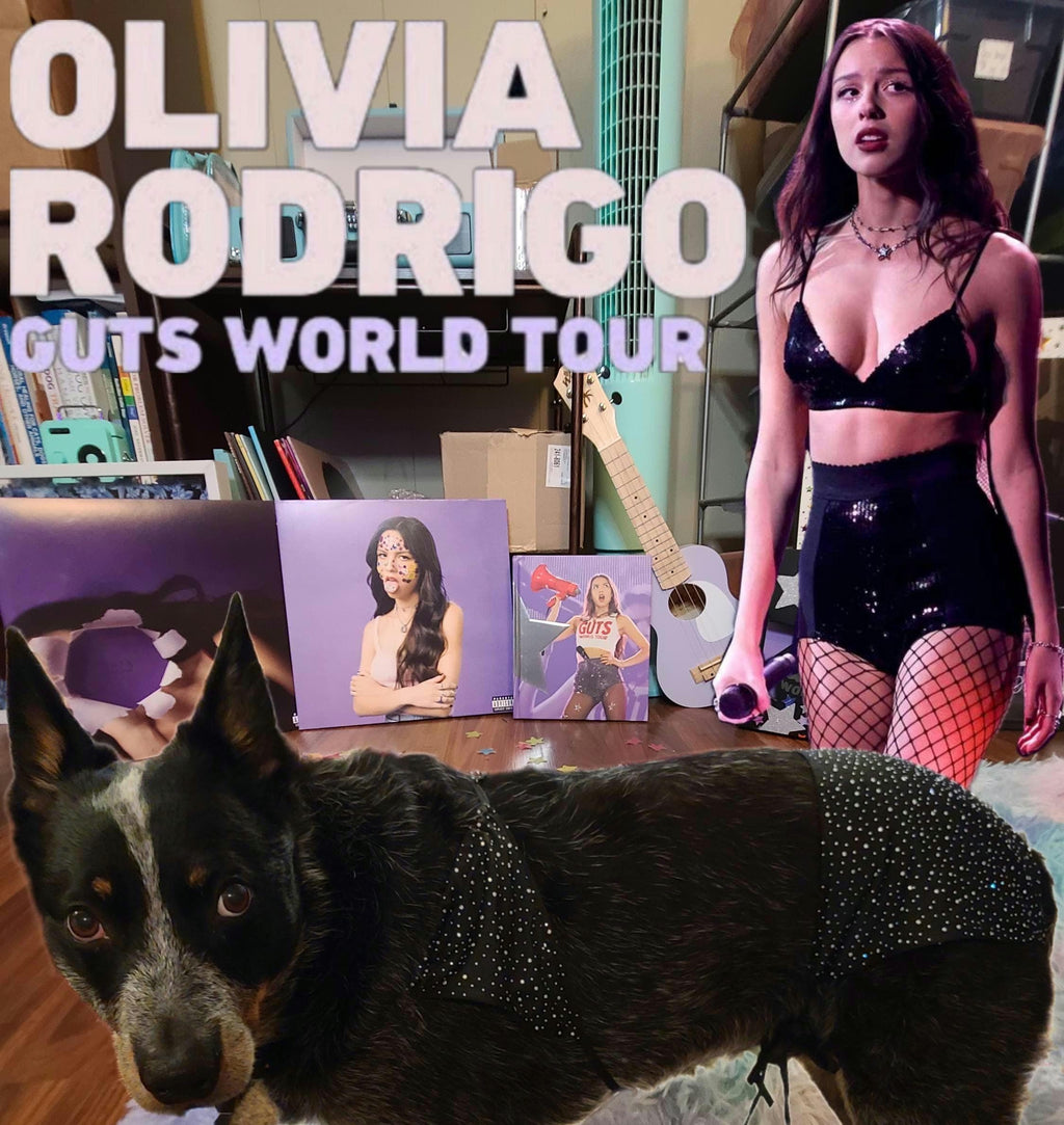 OLIVIA RODRIGO Black Sparkle Dog Costume GUTS Tour Second Outfit Rhinestone Pet Set Custom Size Halloween