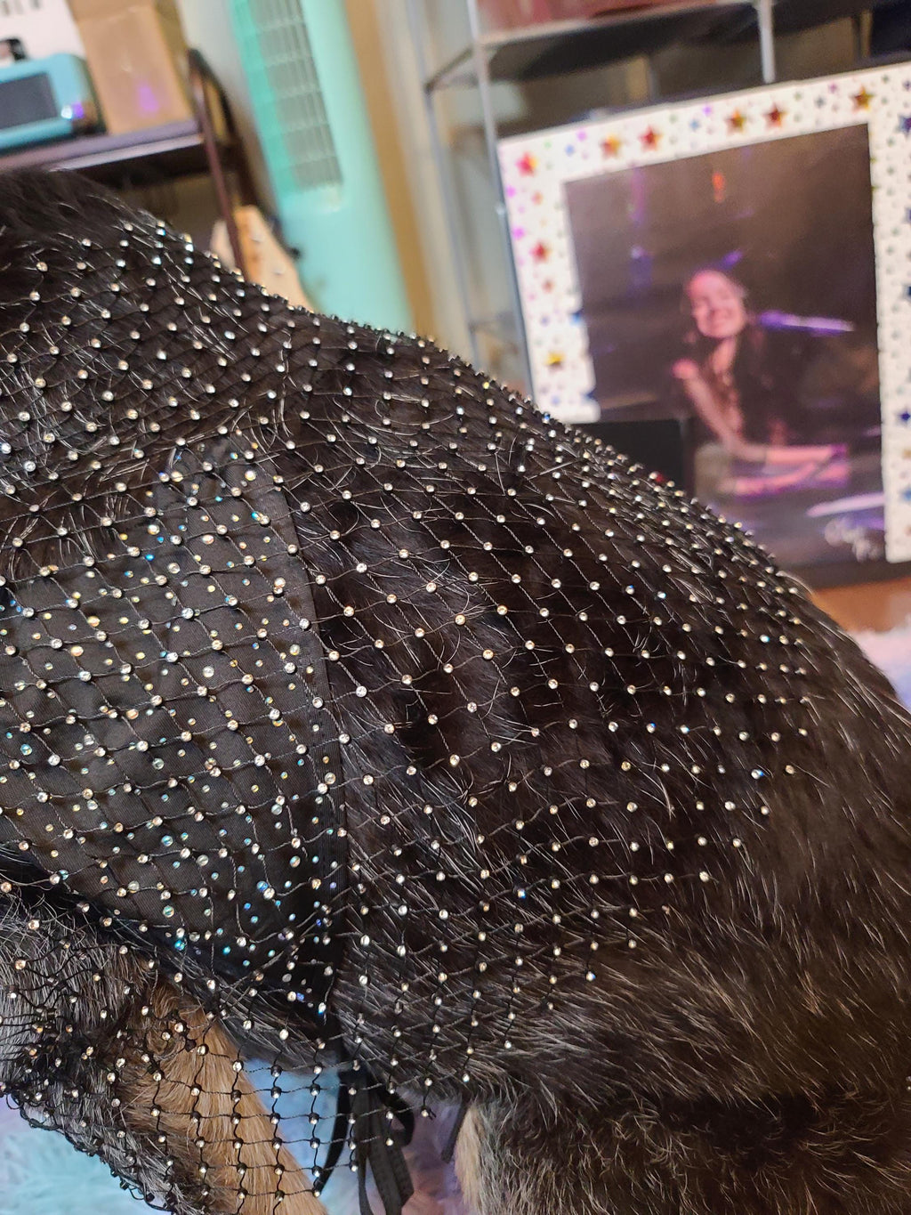 Olivia Rodrigo Dog Costume GUTS Tour Moon Mesh Dress Black Sparkle Layered Pet Outfit Custom Size Halloween