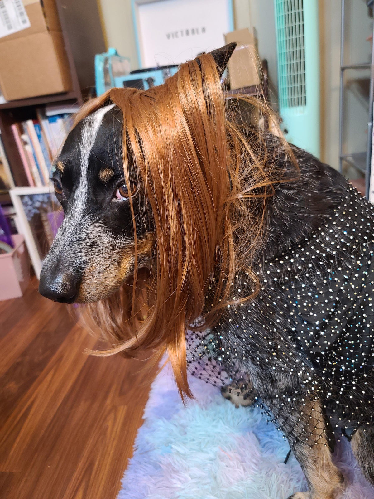 Olivia Rodrigo Dog Costume GUTS Tour Moon Mesh Dress Black Sparkle Layered Pet Outfit Custom Size Halloween