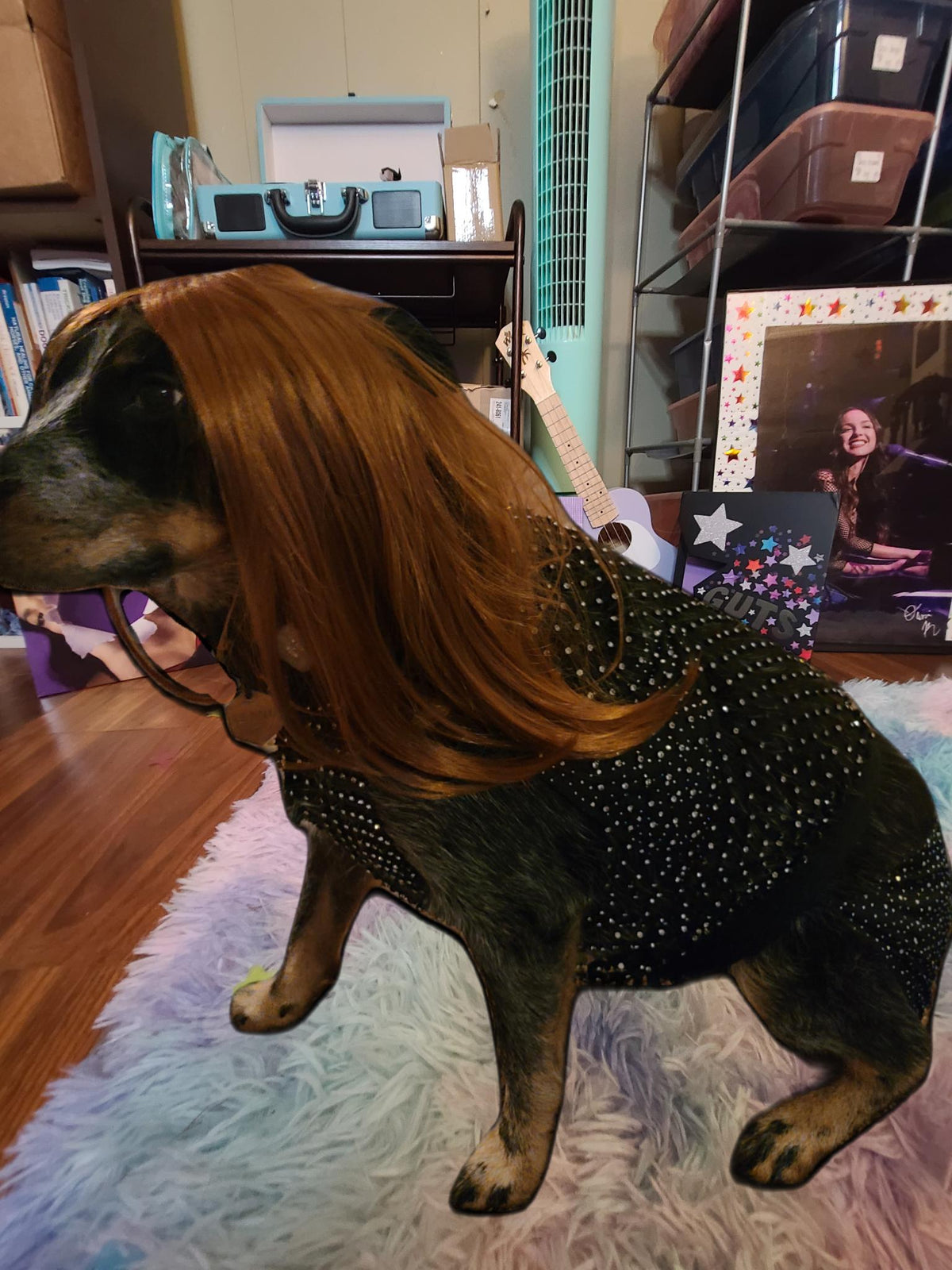 Olivia Rodrigo Dog Costume GUTS Tour Moon Mesh Dress Black Sparkle Layered Pet Outfit Custom Size Halloween