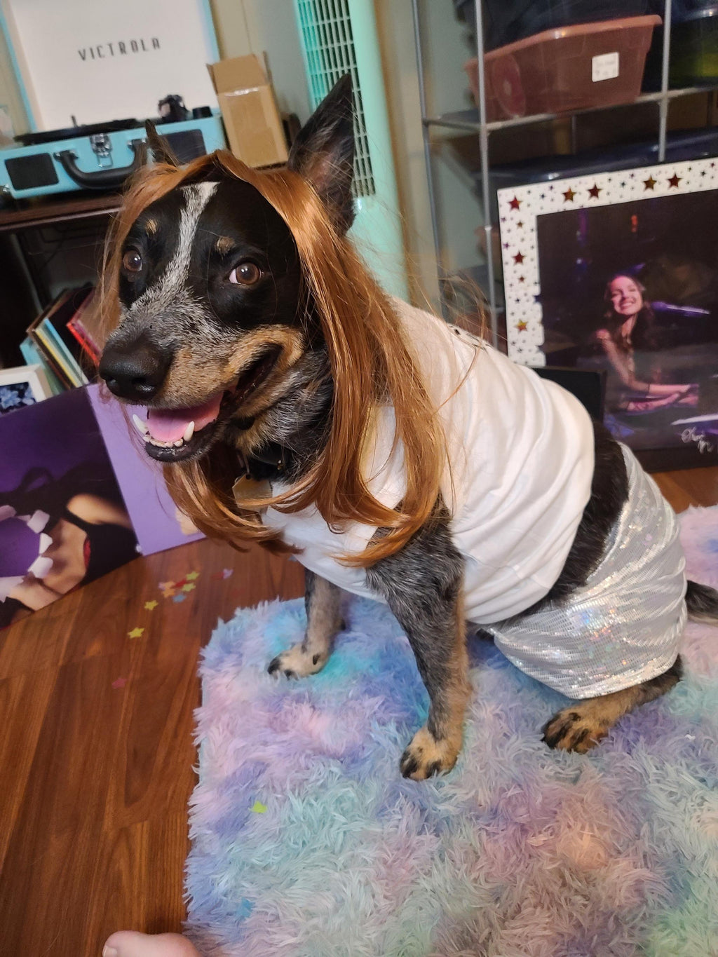 Olivia Rodrigo Dog Encore Costume Liv Laugh Love GUTS Tour Custom Tank Top Silver Skirt Pet Outfit Halloween