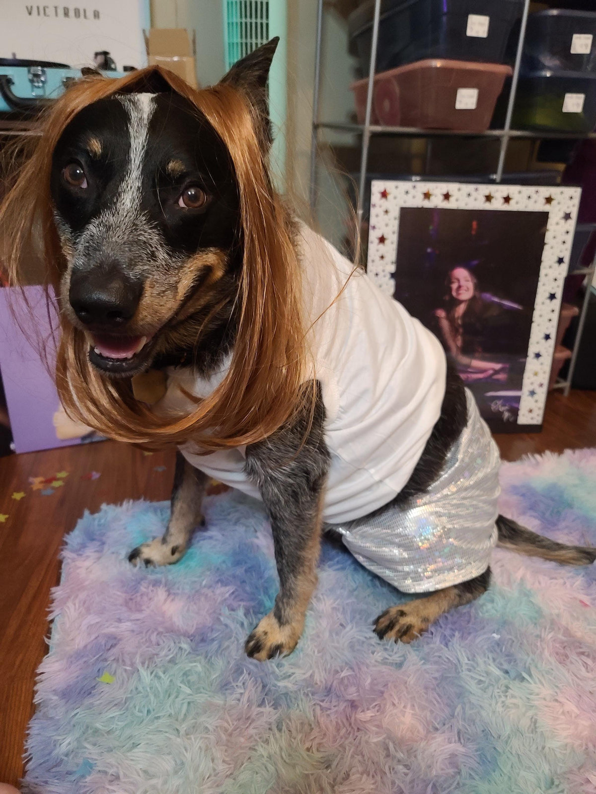 Olivia Rodrigo Dog Encore Costume Liv Laugh Love GUTS Tour Custom Tank Top Silver Skirt Pet Outfit Halloween