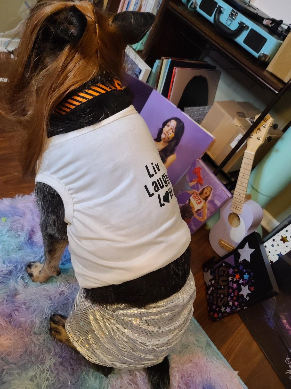 Olivia Rodrigo Dog Encore Costume Liv Laugh Love GUTS Tour Custom Tank Top Silver Skirt Pet Outfit Halloween