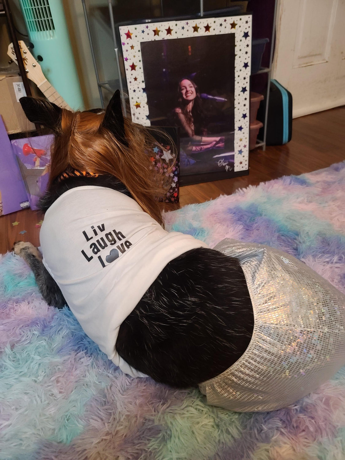 Olivia Rodrigo Dog Encore Costume Liv Laugh Love GUTS Tour Custom Tank Top Silver Skirt Pet Outfit Halloween