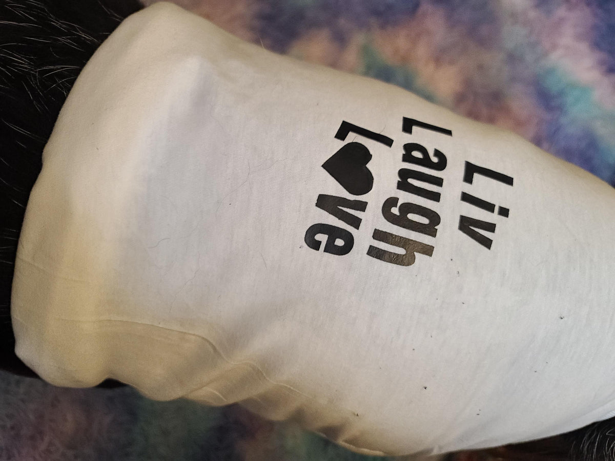Olivia Rodrigo Dog Encore Costume Liv Laugh Love GUTS Tour Custom Tank Top Silver Skirt Pet Outfit Halloween