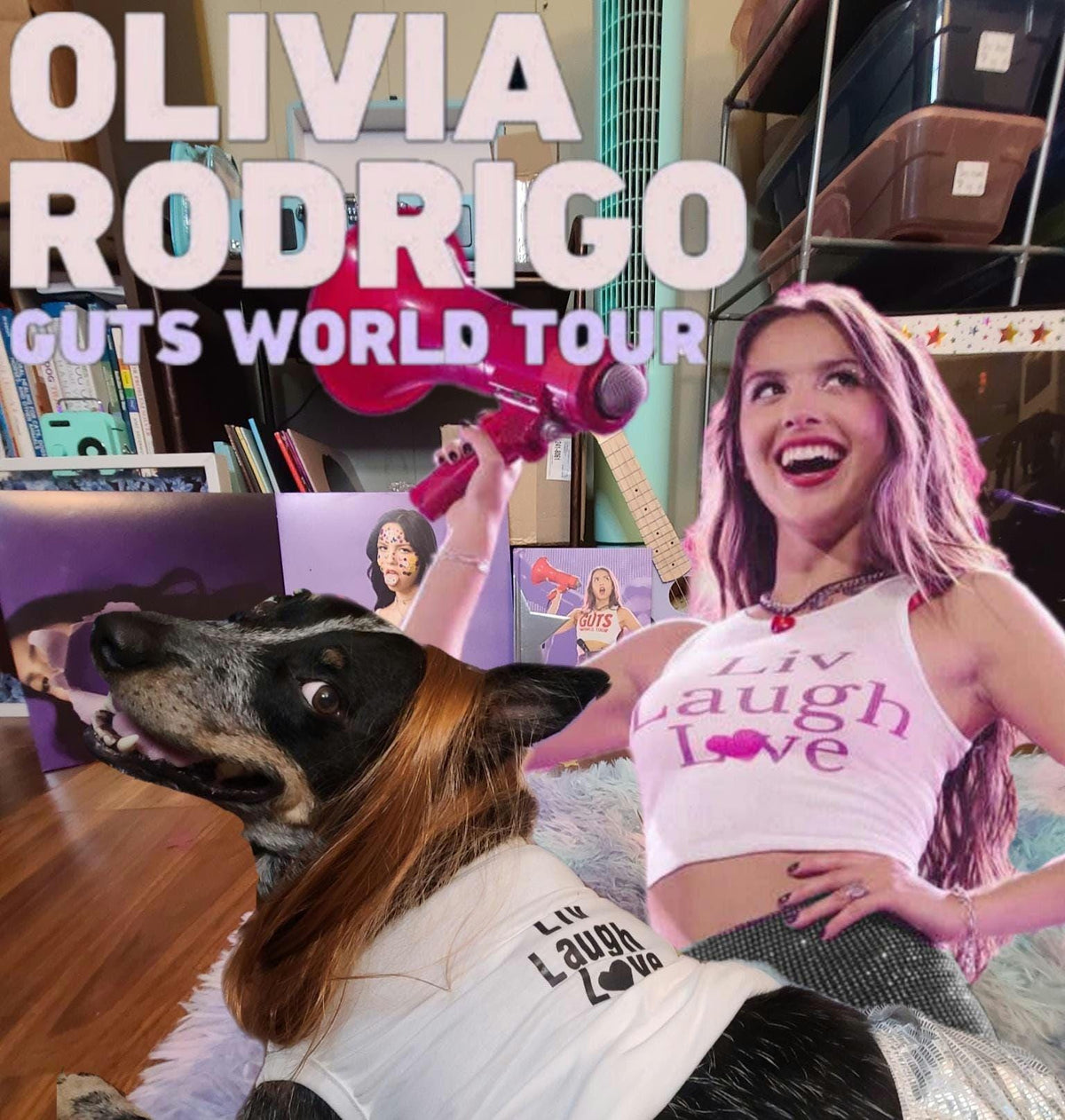 Olivia Rodrigo Dog Encore Costume Liv Laugh Love GUTS Tour Custom Tank Top Silver Skirt Pet Outfit Halloween
