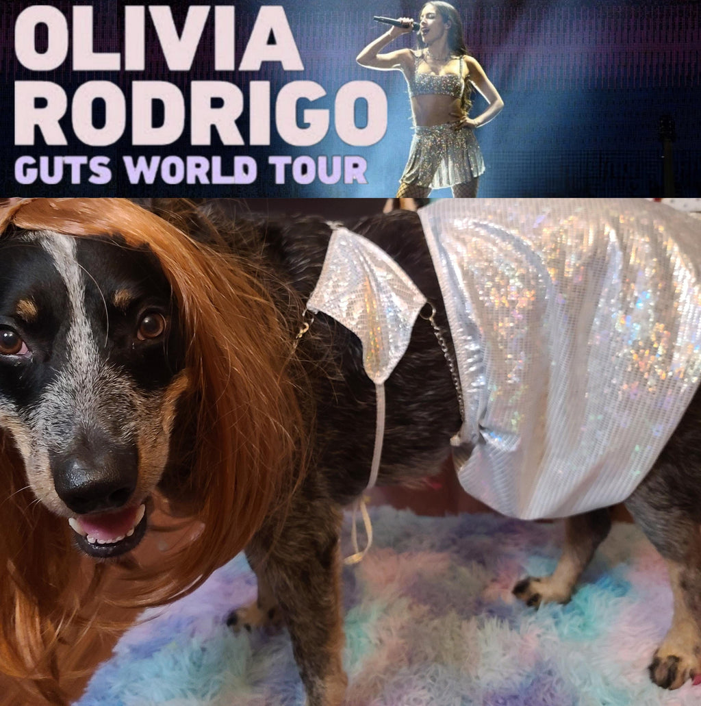 OLIVIA RODRIGO DOG costume Silver Sparkle Set guts Tour Replica Pop Star Halloween Pet Outfit Custom Size