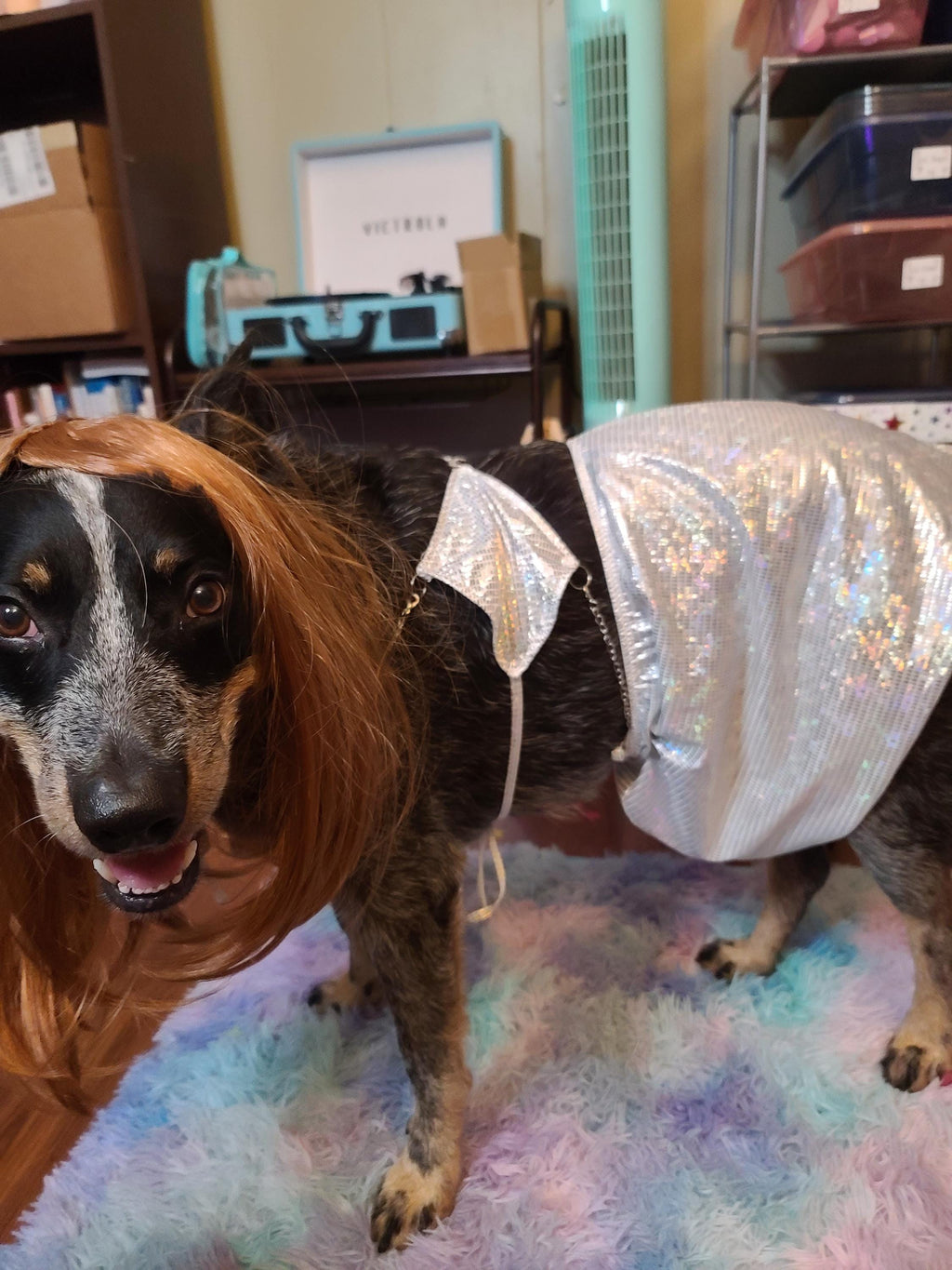 OLIVIA RODRIGO DOG costume Silver Sparkle Set guts Tour Replica Pop Star Halloween Pet Outfit Custom Size