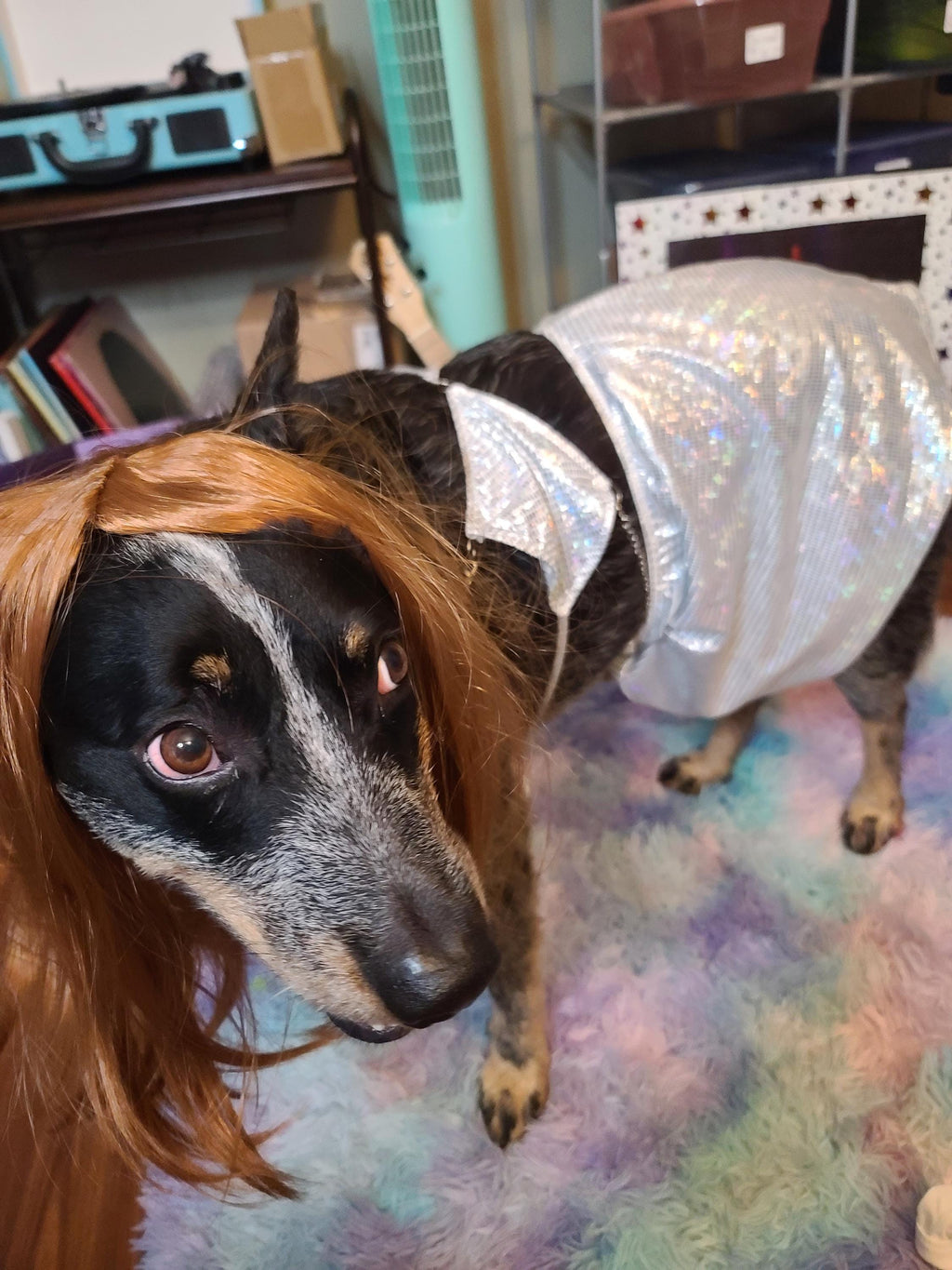 OLIVIA RODRIGO DOG costume Silver Sparkle Set guts Tour Replica Pop Star Halloween Pet Outfit Custom Size