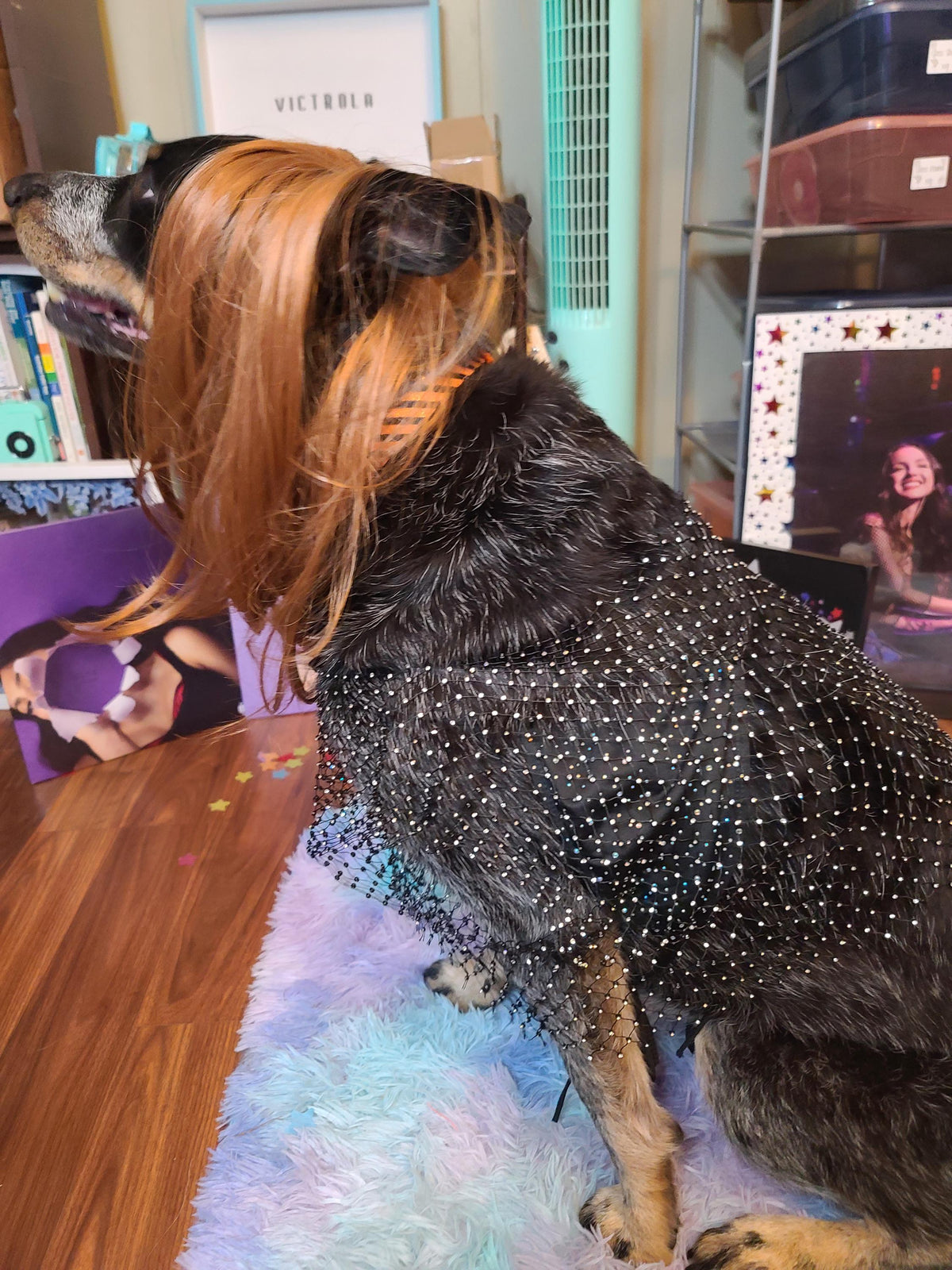 Olivia Rodrigo Dog Costume GUTS Tour Moon Mesh Dress Black Sparkle Layered Pet Outfit Custom Size Halloween