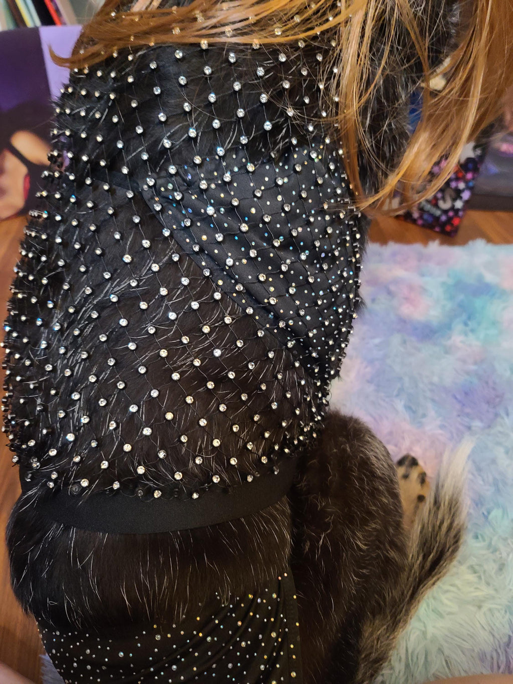 Olivia Rodrigo Dog Costume GUTS Tour Moon Mesh Dress Black Sparkle Layered Pet Outfit Custom Size Halloween