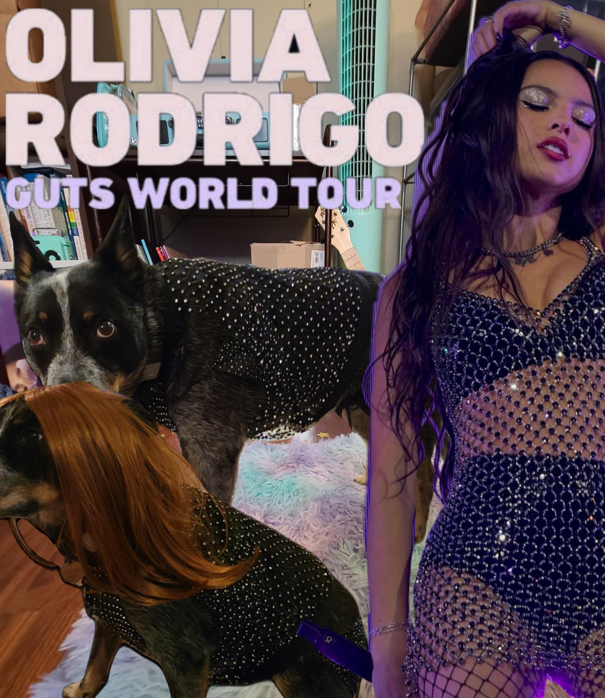 Olivia Rodrigo Dog Costume GUTS Tour Moon Mesh Dress Black Sparkle Layered Pet Outfit Custom Size Halloween