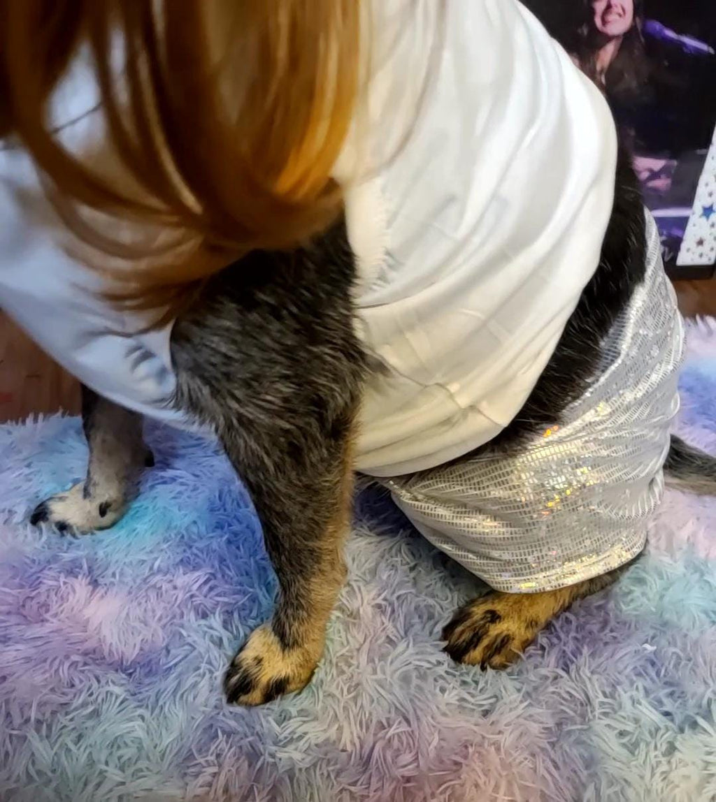 Olivia Rodrigo Dog Encore Costume Liv Laugh Love GUTS Tour Custom Tank Top Silver Skirt Pet Outfit Halloween