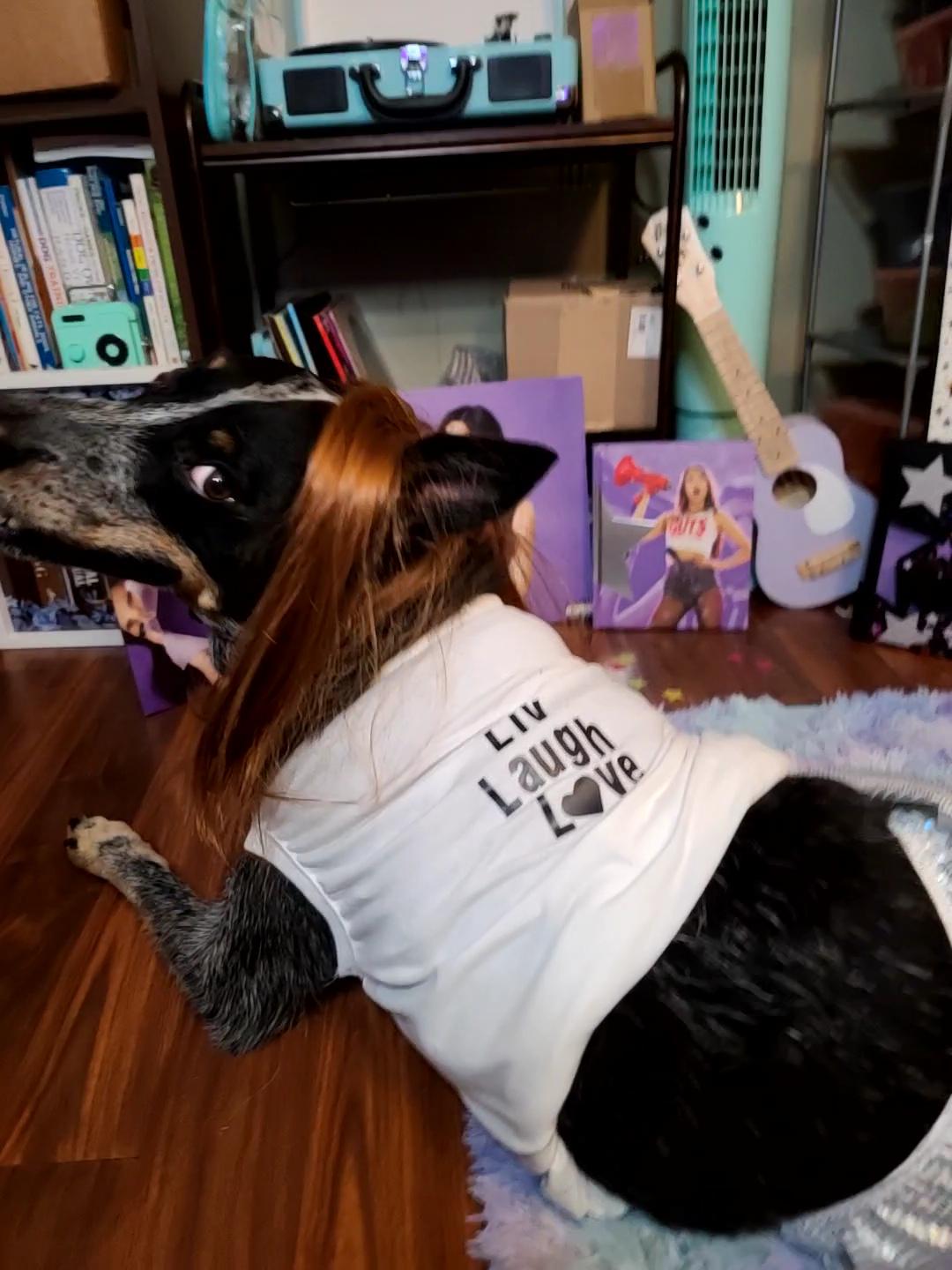 Olivia Rodrigo Dog Encore Costume Liv Laugh Love GUTS Tour Custom Tank Top Silver Skirt Pet Outfit Halloween