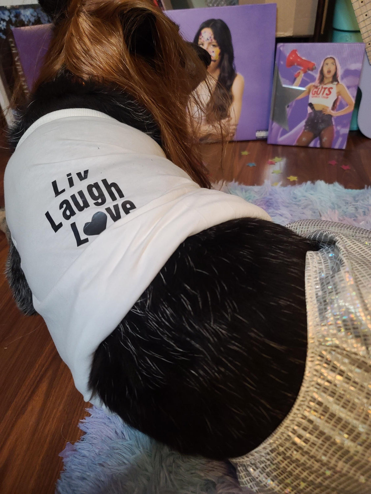 Olivia Rodrigo Dog Encore Costume Liv Laugh Love GUTS Tour Custom Tank Top Silver Skirt Pet Outfit Halloween
