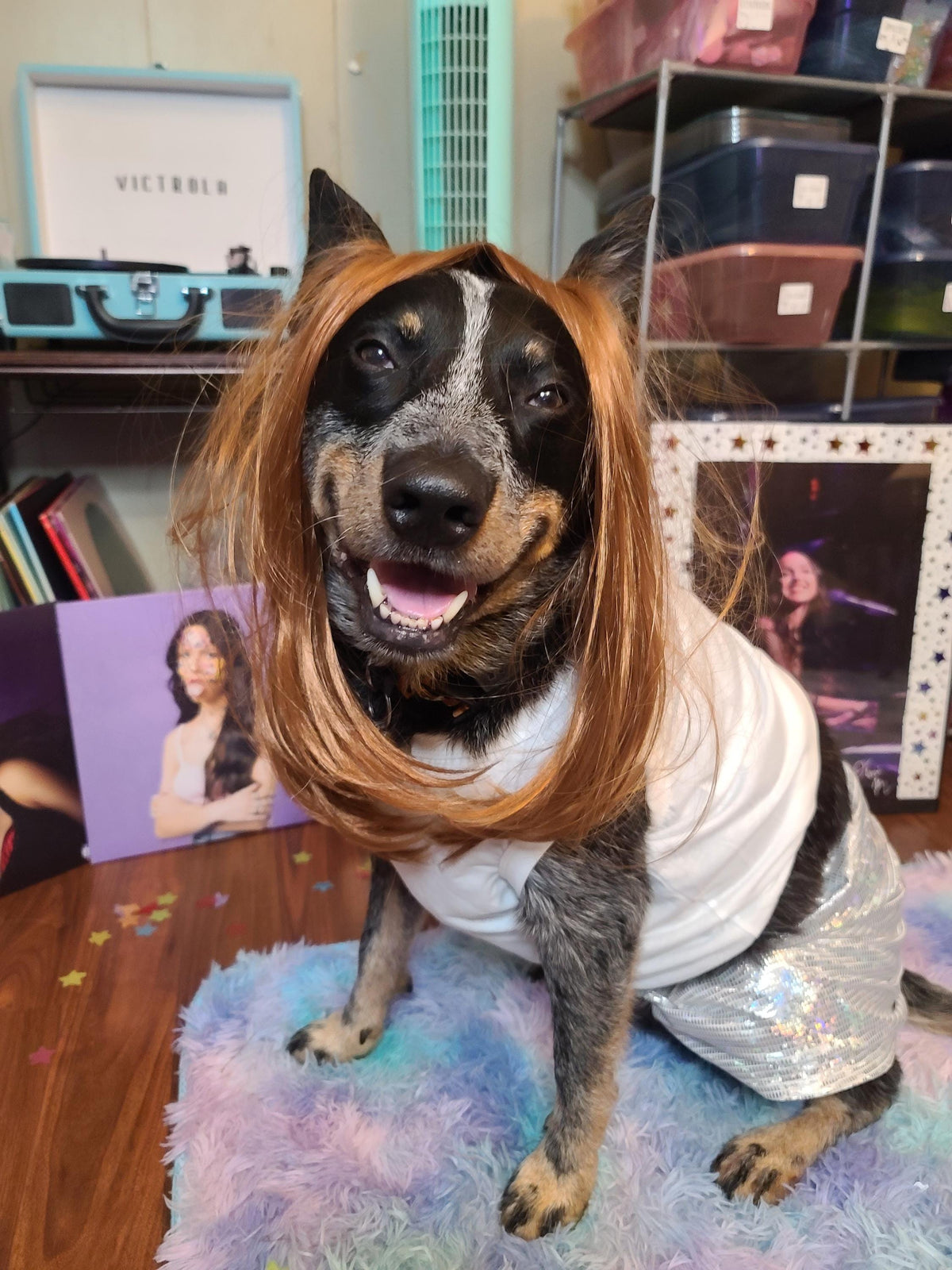 Olivia Rodrigo Dog Encore Costume Liv Laugh Love GUTS Tour Custom Tank Top Silver Skirt Pet Outfit Halloween