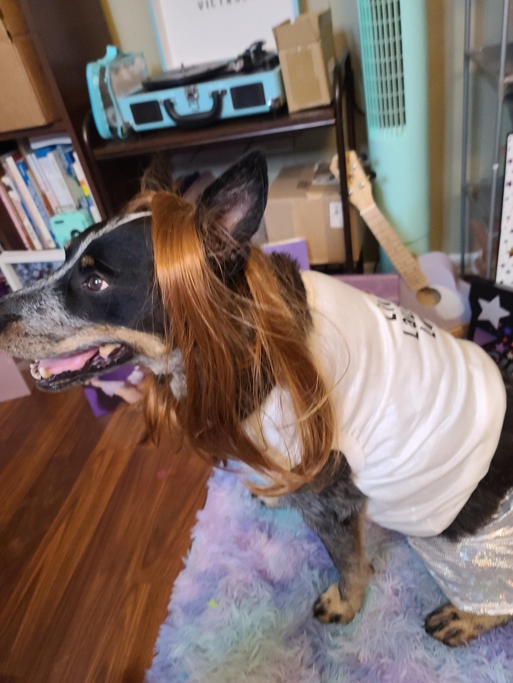 Olivia Rodrigo Dog Encore Costume Liv Laugh Love GUTS Tour Custom Tank Top Silver Skirt Pet Outfit Halloween