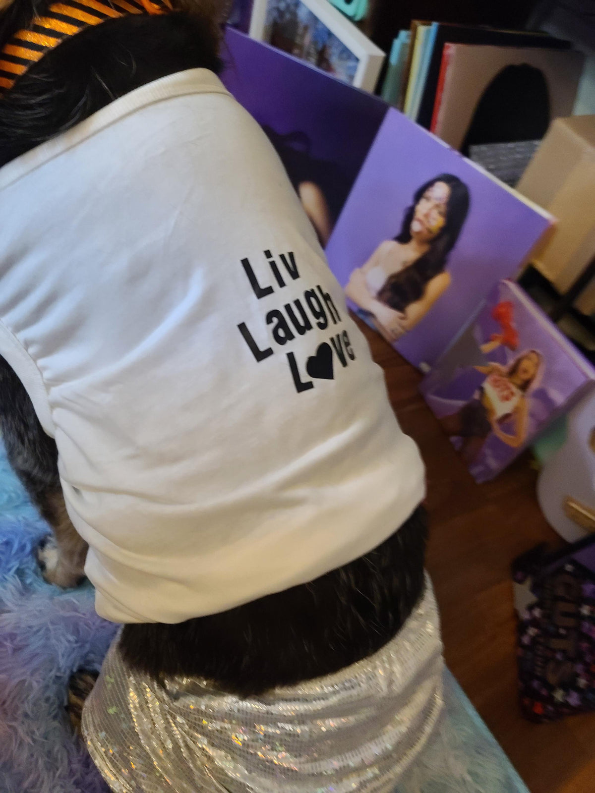 Olivia Rodrigo Dog Encore Costume Liv Laugh Love GUTS Tour Custom Tank Top Silver Skirt Pet Outfit Halloween